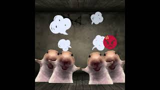 Banana Cat and Hamster | Episode 1 - 4 | Funny Cartoon