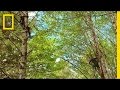 Exploring the Wilderness with Mick and Will