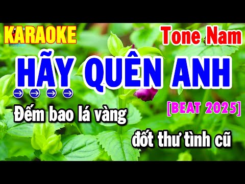Karaoke Hãy Quên Anh Tone Nam – Nhạc Sống Dễ Hát 2025 | Thanh Hải