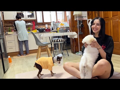 한국인 남자친구의 고향집 방문기｜시어머니(?)와의 첫 만남