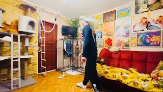 видео