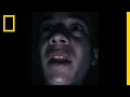 Blackout Reactions and Speculations