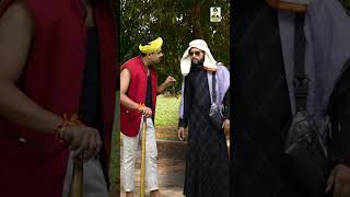 आवारा कुत्ते जायेंगे दुबई