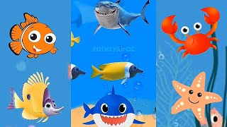 Kids song Baby Shark Dance at ocean with Dolphin octopus Animals Sea | Nursery rhymes toddlers