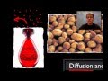 Diffusion and Osmosis Concepts
