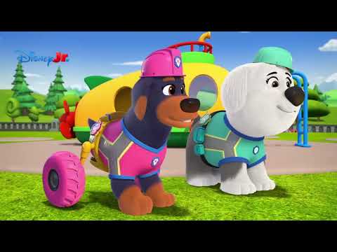 🛝 Budowa placu zabaw | Psia brygada | Disney Junior Polska
