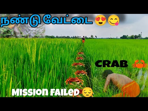 Crab 🦀 Catching 😍| Village crab 🦀 Catching techniques 😁| Mission failed 😔