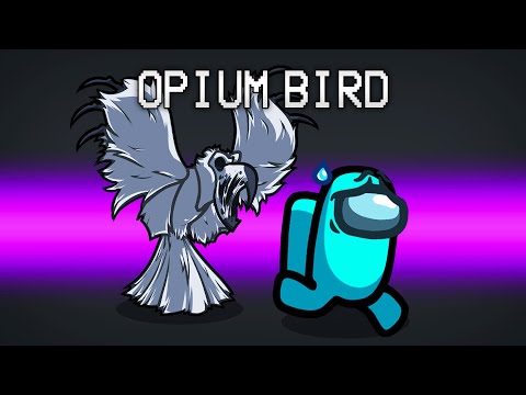 Remember When We Put OPIUM BIRD In Among Us?