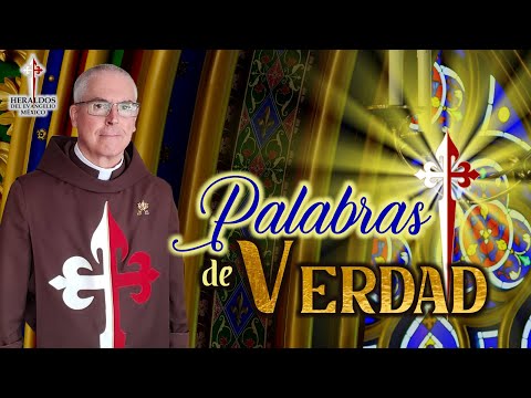 🕯️ ¿Puede un ciego guiar a otro ciego? / P. Javier Pérez, EP