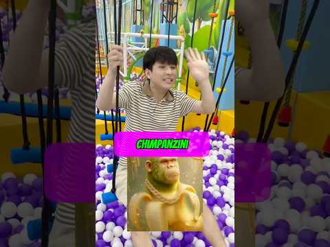 Brainrot music video 2 - Nhạc chế brainrot 2