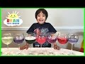 Cabbage Juice Experiment Concepts