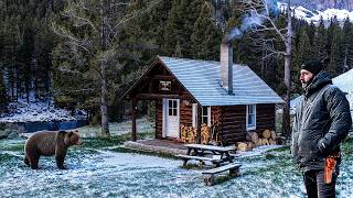 CLOSE BEAR ENCOUNTER at Backcountry Cabin in Montana!