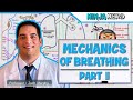 Respiratory Physiology Concepts