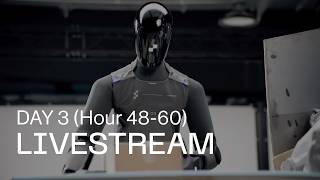 F.03 Livestream: Day 3 (Hour 48-60)