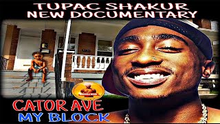 New Tupac Documentary Ready To Come Out Just Waiting For The Highest Bidder!!