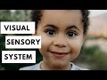 Visual Processing Skills Assessment