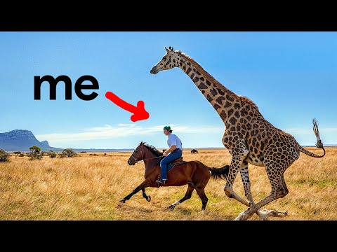 I Flew to Africa to Race a Giraffe