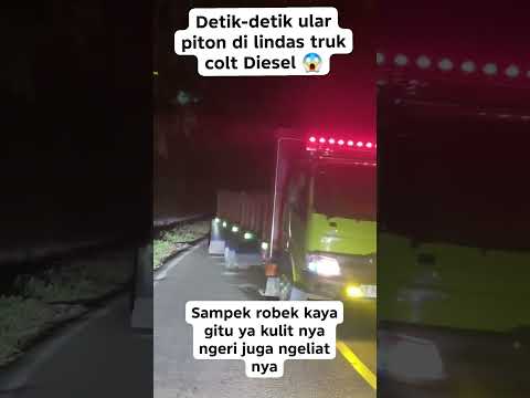 TEGA BENGET‼️TRUCK NYA⁉️