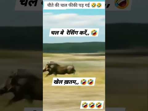 ?#youtube #shorts #shortvideo #viralvideo #viralshorts #views #trending #like #emotional#funny #fun