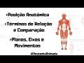 Termos e Conceitos de Anatomia
