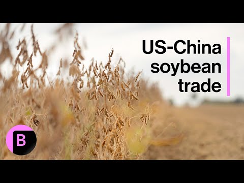 YouTube video thumbnail: Trump Set to Discuss Soybean Purchases With China's Xi