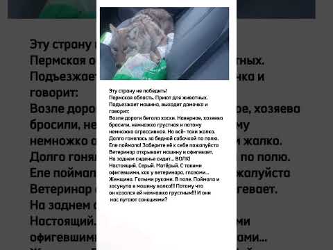 Эту страну не победить.   #интересное   #информация #советы #цитаты