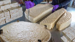 Taiwanese Radish Cake : From Grandma’s Kitchen to the Factory Line (台灣蘿蔔糕：從阿嬤灶腳到現代工廠產線)