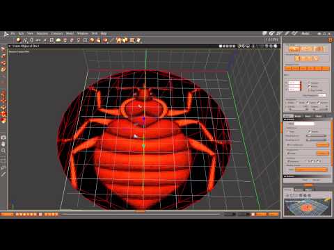Making a 3D object out of a 2D Image