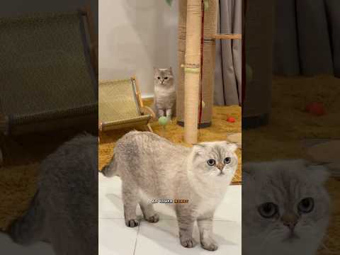 Знает ли Миса, что Лелик ее сын..