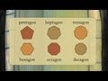 Understanding Polygons and Their Names