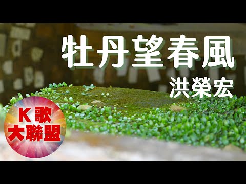 洪榮宏-牡丹望春風【KTV導唱字幕】
