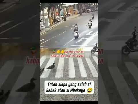 BEBEK ATAU MBANYA YANG SALAH