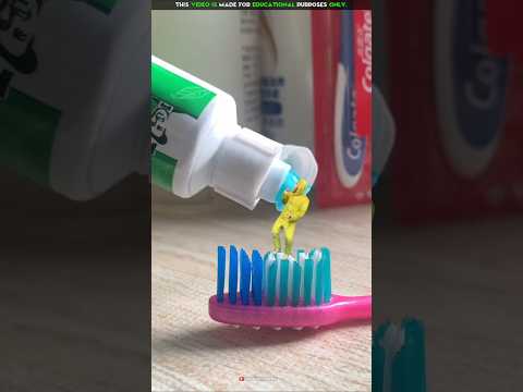Monkey Food Colgate 🪥🐒| New Viral Gadgets, Smart Appliances, Kitchen Utensils/ Home Inventions