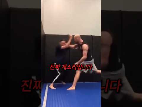 MMA vs 아이키도,시스테마? 말 안 해도 아시죠?