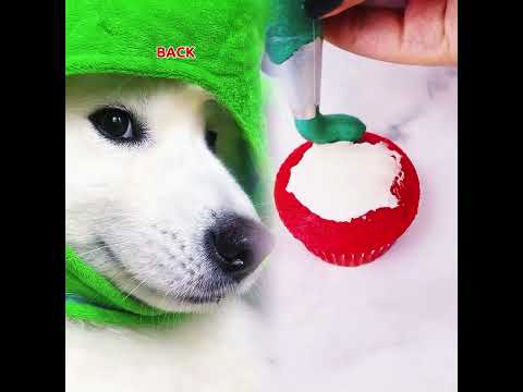 What are you doing Bestie? ib:lukefranchina #dogsofinstagram #tiktok #funny #puppy #cute