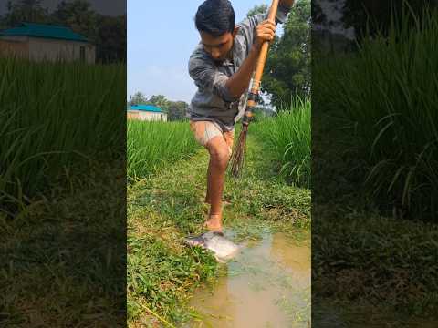 The fish was moving 🤫 Then #fishing #funnyshorts