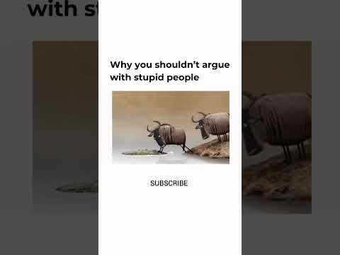 Why you shouldn't argue with stupid people #mindset #viralshorts  #motivation #fyp
