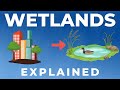 Wetland Hydrology and Management Concepts