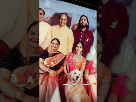 Best surprise for Ambani's family 🥹❣️ #shorts #ambanifamily