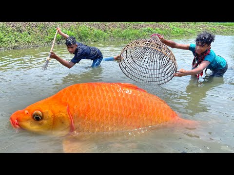 Amazing Village Boys Catching Fish By Bamboo Tools Polo & Teta/Kotch | Fishing Video