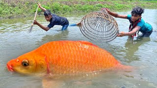 Amazing Village Boys Catching Fish By Bamboo Tools Polo & Teta/Kotch | Fishing Video