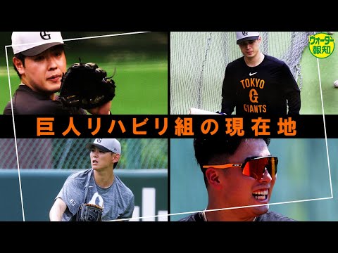 【復帰に向けて】リハビリ組は何してる？　岡本和真、浅野翔吾ら故障班の現在地を確かめてきた【ウォーター報知】