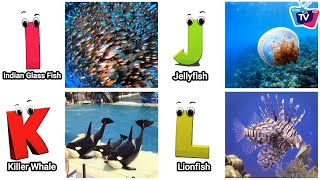 Sea Animals ABC Song for Kids | Learn Alphabet Letters with Nursery Rhymes @Kidsfuna2zTV