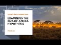 Out of Africa Model and Racial Diversity