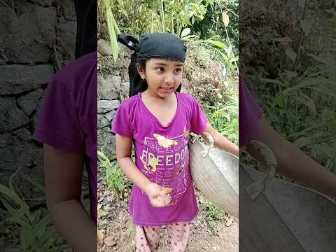 കുനെ കുനെ മണൽ അരിച്ചു തരാം #shorts#youtubeshorts