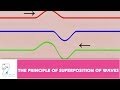 Wave Superposition and Interference Concepts