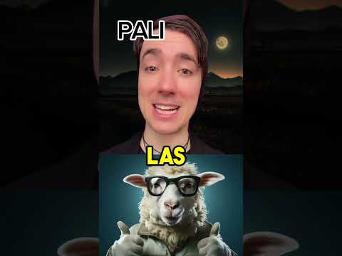 Esto NO ES lo que PARECE // PALI