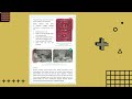 Understanding Music Theory Concepts