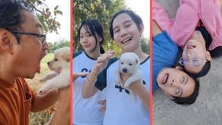 Sooo Funny Shorts‼️ Most Cute😆🥰  | JJaiPan Shorts Compilation #shorts