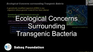 Ecological Concerns Surrounding Transgenic Bacteria